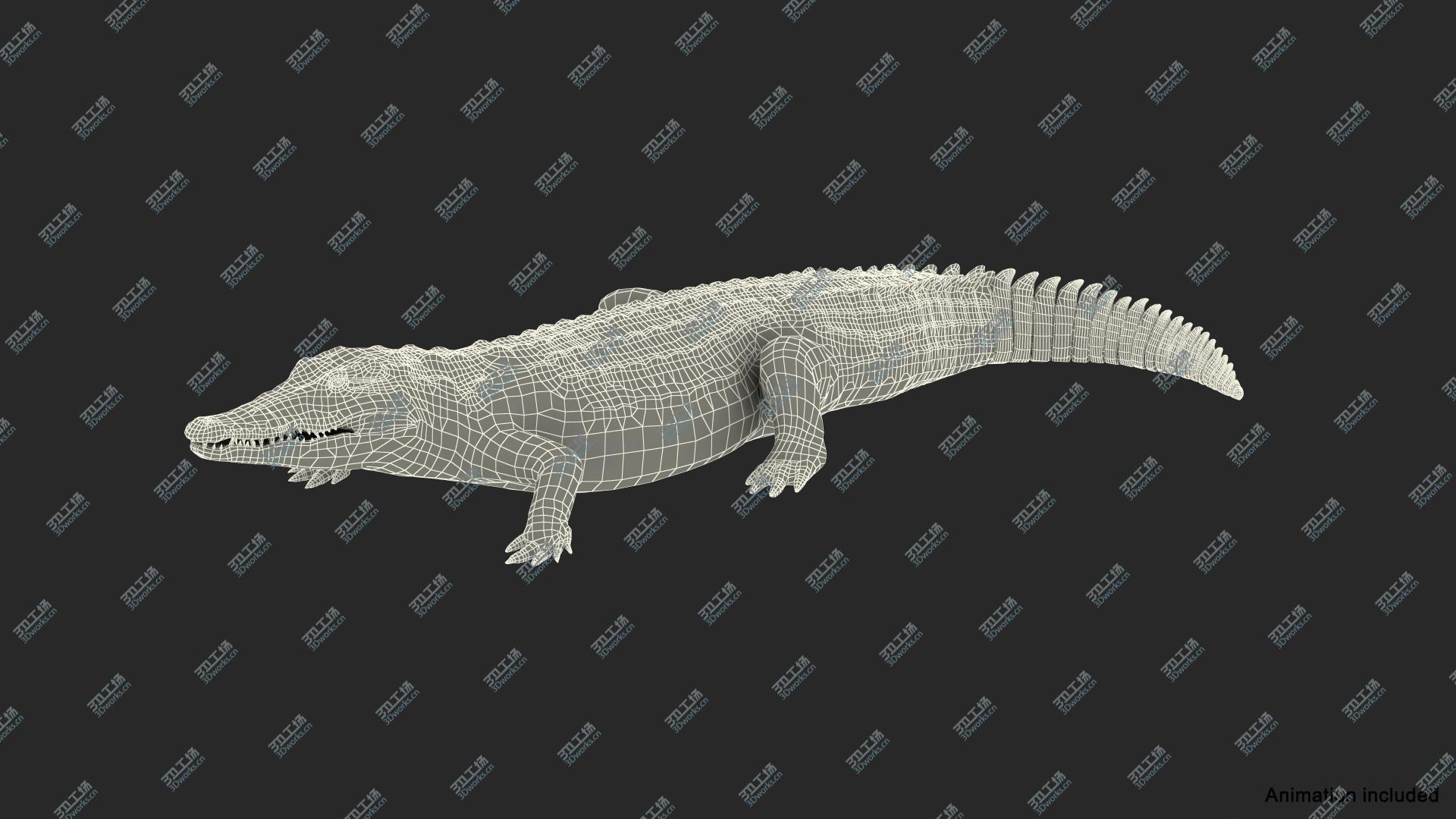 images/goods_img/2021040231/Animated Crocodile Eating Rigged model/5.jpg